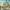 Exploring the Benefits of Smart Cities for Personal Lifestyle