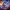Facebook Video Marketing: Winning Strategies for Tech Firms