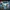 Facebook's Future in Virtual Reality: What Tech Professionals Need to Know