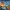 The Future of Travel: How Virtual Reality is Changing Tourism