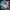 The Role of AI in Enhancing Internet Accessibility