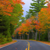 10 Best Places to See Fall Foliage in the USA in 2021