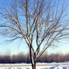 10 Essential Tips for Surviving and Enjoying Winter Weather