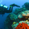 10 Incredible Scuba Diving Sites You Must Explore