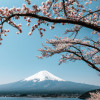 10 Reasons to Visit Japan - Discover Japan's Rich Culture and Scenic Beauty