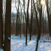 10 Unique Winter Vacation Ideas
