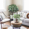 7 Essential Tips for Creating a Relaxing and Serene Home Environment