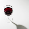 A Beginner's Guide to Wine Tasting: Tips and Techniques to Know