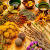 Discovering Nature's Pharmacy: Natural Remedies for Common Ailments