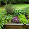 DIY Raised Planter Beds for Your Garden: A Comprehensive Guide