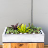 DIY Tutorial: Make Your Own Concrete Planters