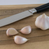 Garlic Galore: The Comprehensive Guide to Cooking with Garlic