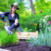 How to Start a Successful Home Garden: Tips and Tricks