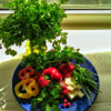 Instagram for Foodies: Tips and Tricks for Mouthwatering Visuals