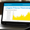 LinkedIn Analytics: Tracking Your Performance
