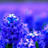 Optimizing Your Images for Search Engines: A Beginner's Guide