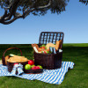 Recipes for the Perfect Picnic: Delicious Dishes for Outdoor Fun