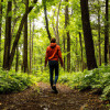 The Art of Slow Living: Embracing a New Lifestyle