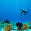 The Best Places to Go Scuba Diving: Explore the Wonders of the Deep