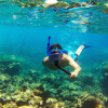 The Best Places to Go Snorkeling