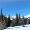 The Best Places to Take a Winter Road Trip