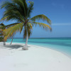 The Best Time to Book Your Holiday Travel Plans: Tips and Tricks