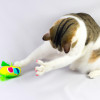 The Best Toys to Keep Your Cat Entertained
