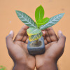 The Ethics of Investing: How to Invest Responsibly