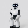 The Ethics of Robot Personal Assistants: Impact on Our Lives