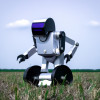 The Future of Robotics: Applications and Limitations