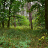The Health Benefits of Getting Outside and Spending Time in Nature