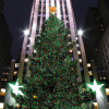 The Most Magical Christmas Trees in the World