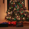 The Origins of Christmas: Exploring the Pagan Roots and Christian Adaptations