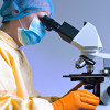 The Role of AI in the Future of Scientific Discovery