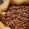 The Ultimate Guide to Coffee Beans - Varieties, Roasting Levels, and Brewing Methods