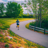 The Ultimate Guide to Daily Exercise for a Healthy Body and Mind