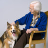 The Wonders of Animal-Assisted Therapy for Senior Citizens