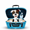 Tips for Traveling with Pets: How to Make the Journey Safe and Comfortable