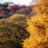Top 10 Best Places to Experience the Beauty of Fall Foliage