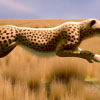 Top 10 Fastest Land Animals in the World: Amazing Speeds and Incredible Feats