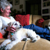 Why You Should Adopt a Senior Pet: Benefits And Reasons