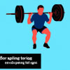 Why You Shouldn't Skip Leg Day: The Importance of Leg Workouts
