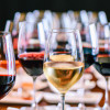 Wine Pairing 101: Ultimate Guide for Choosing the Perfect Wine
