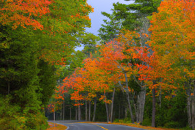 10 Best Places to See Fall Foliage in the USA in 2021