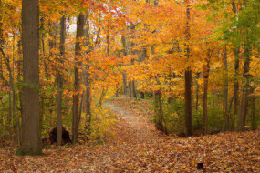 Autumn's Allure: Top Fall Travel Destinations to Experience the Beauty of Fall