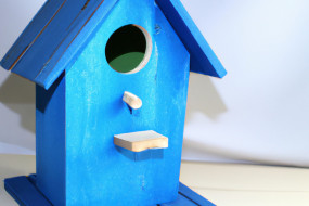 DIY Guide: How to Build a Birdhouse for Your Feathered Friends