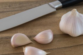 Garlic Galore: The Comprehensive Guide to Cooking with Garlic