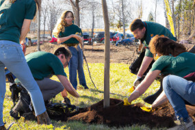 How to Use LinkedIn for Environmental Sustainability: A Guide for Professionals