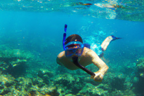 The Best Places to Go Snorkeling