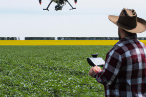 The Future is Here: How AI is Transforming Agriculture in the Digital Age